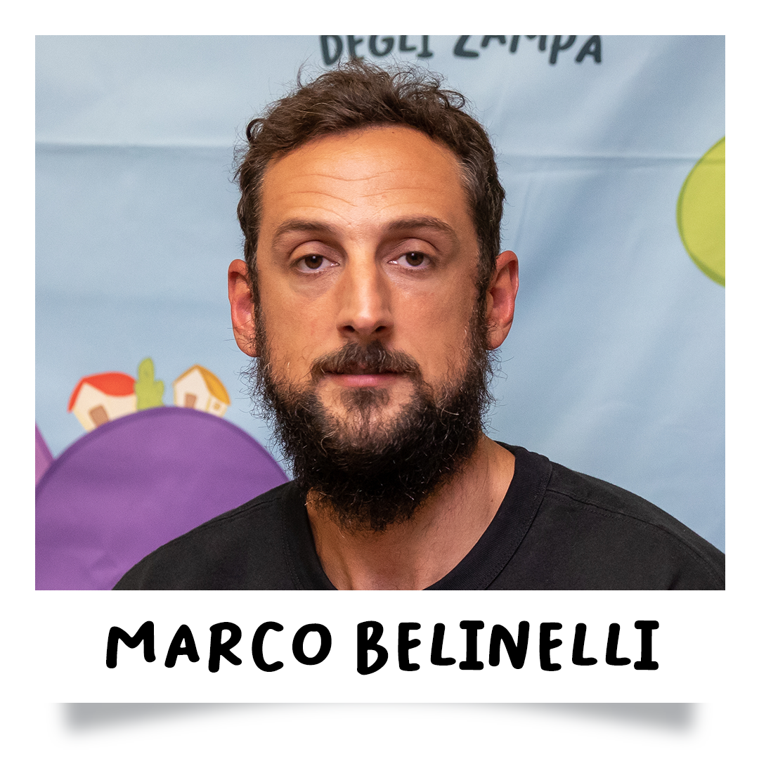 Marco Belinelli
