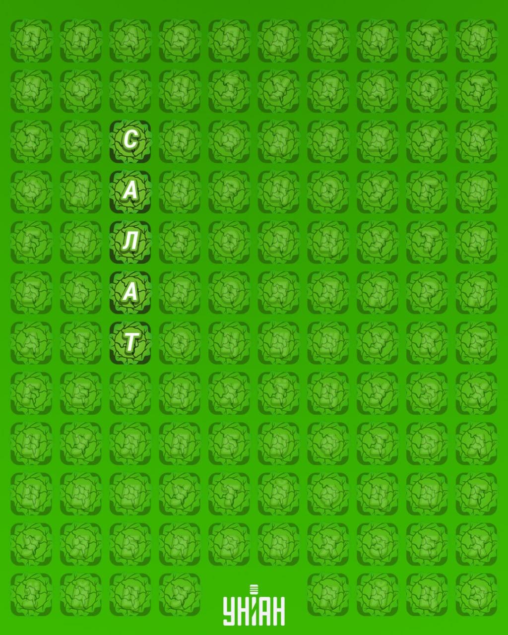 98% от хората не могат да намерят думата 