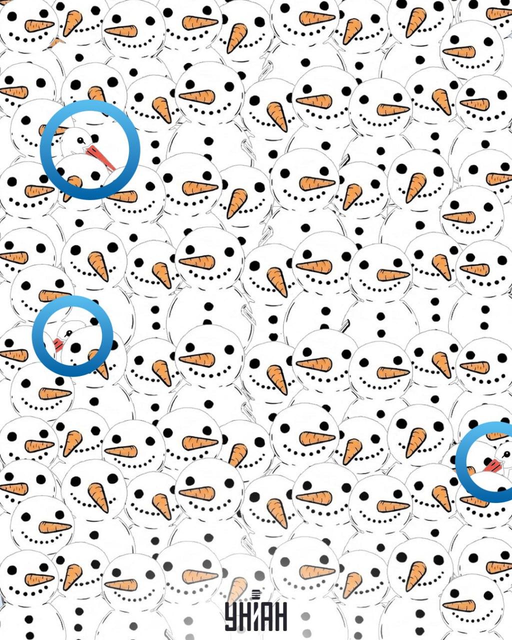 Открийте 3 щъркела сред снежните човеци за 11 секунди: невероятна оптична илюзия