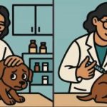 IQ тест: открийте 3 разлики в снимка на ветеринарен лекар