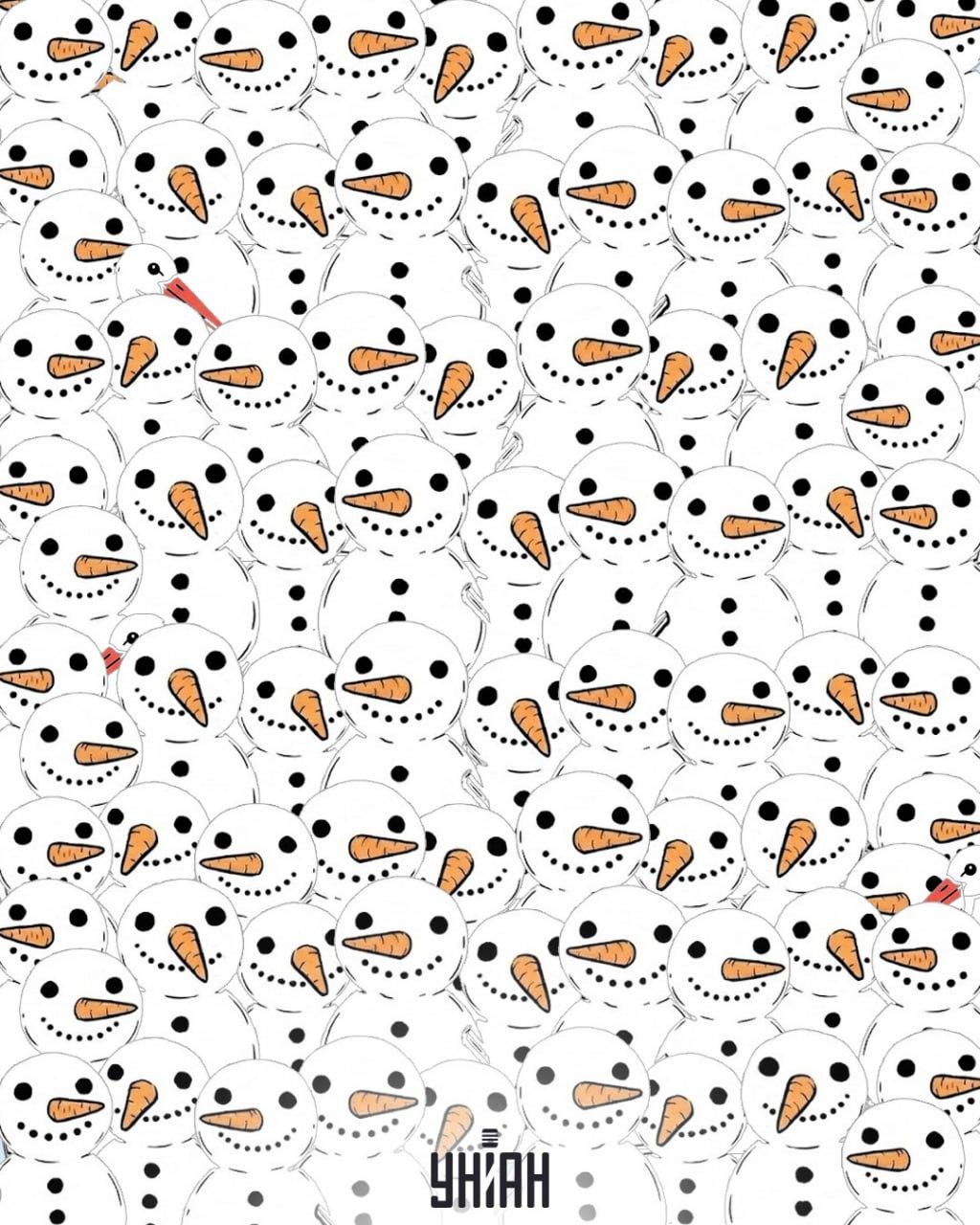 Открийте 3 щъркела сред снежни човеци за 11 секунди: невероятна оптична илюзия