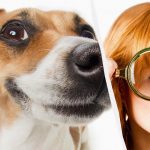 Само истински IQ титан ще види куче в снега за